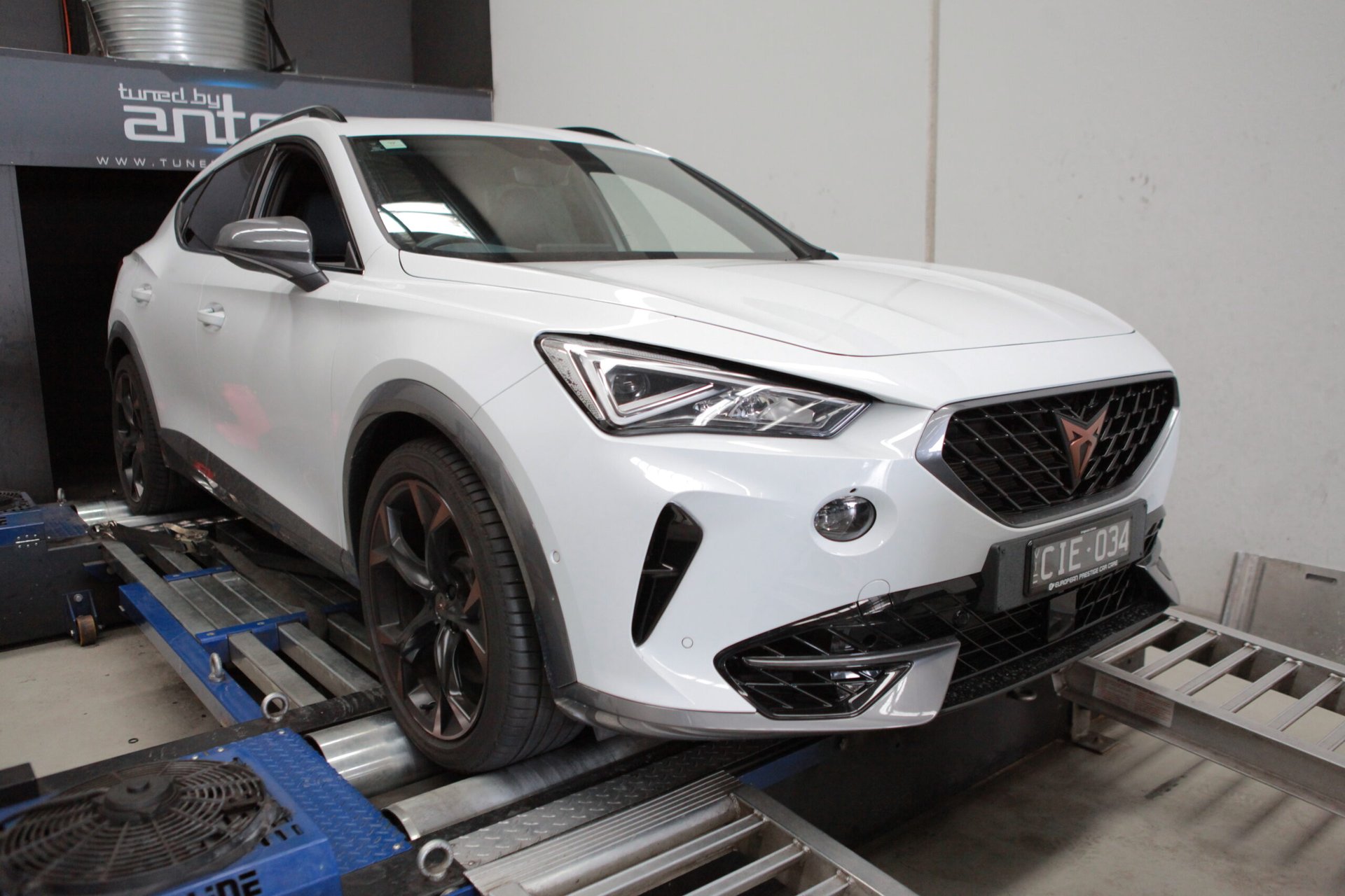 Seat Cupra Stage 1 Tune — On the dyno